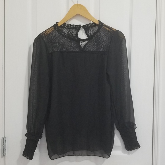 Romantic Rose Lace Yoke Sheer Blouse - Picture 3 of 5